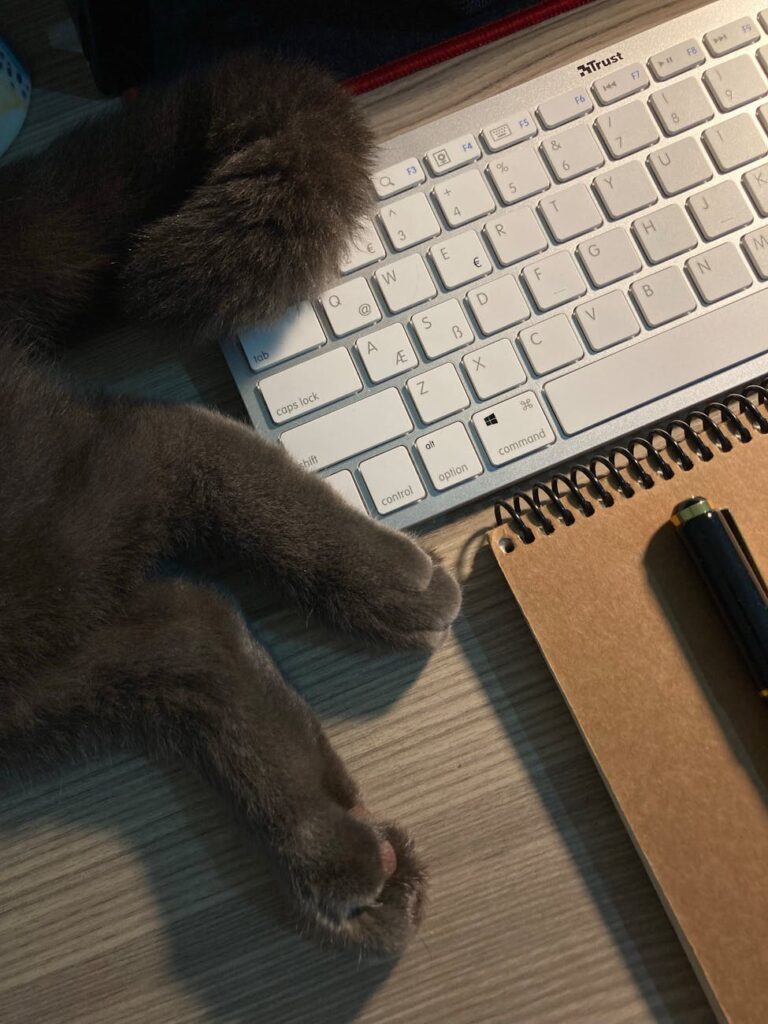 paws of cat lying down near keyboard